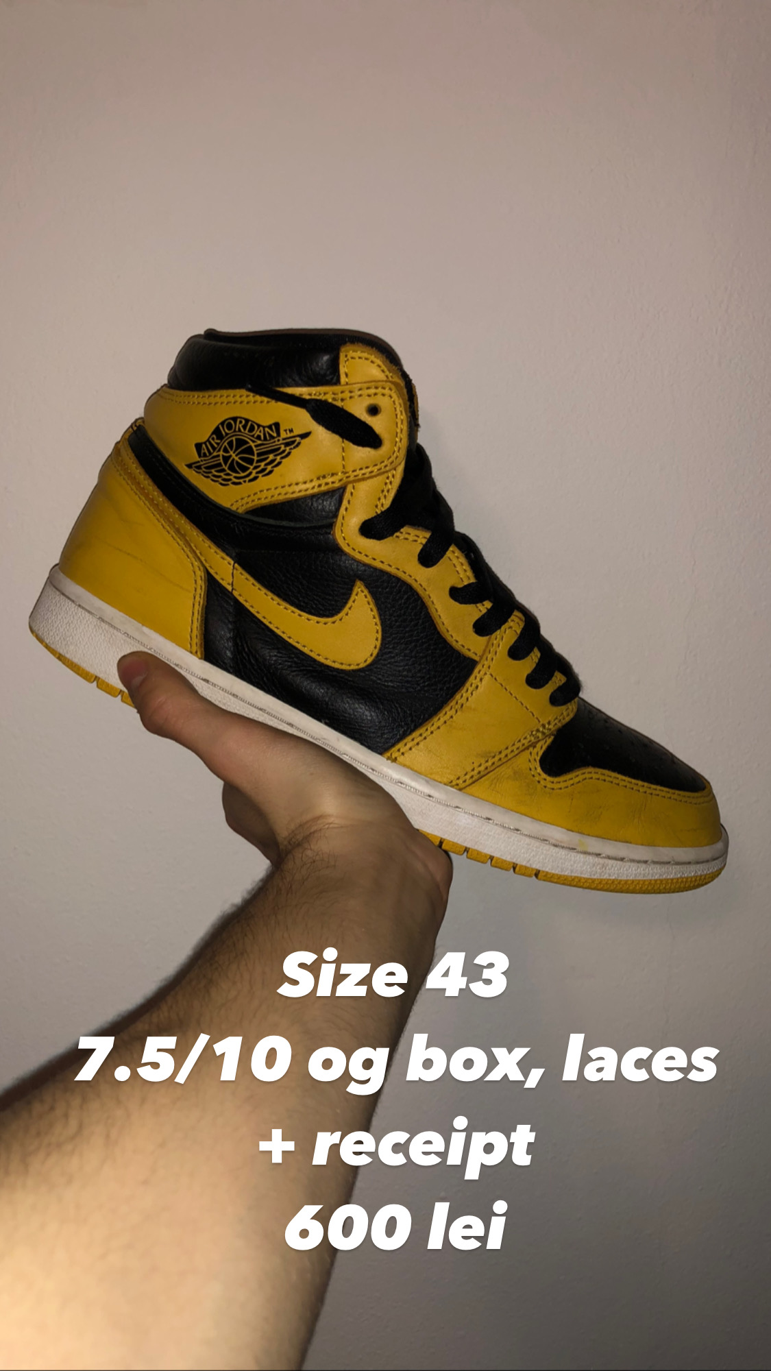 polen jordan 1