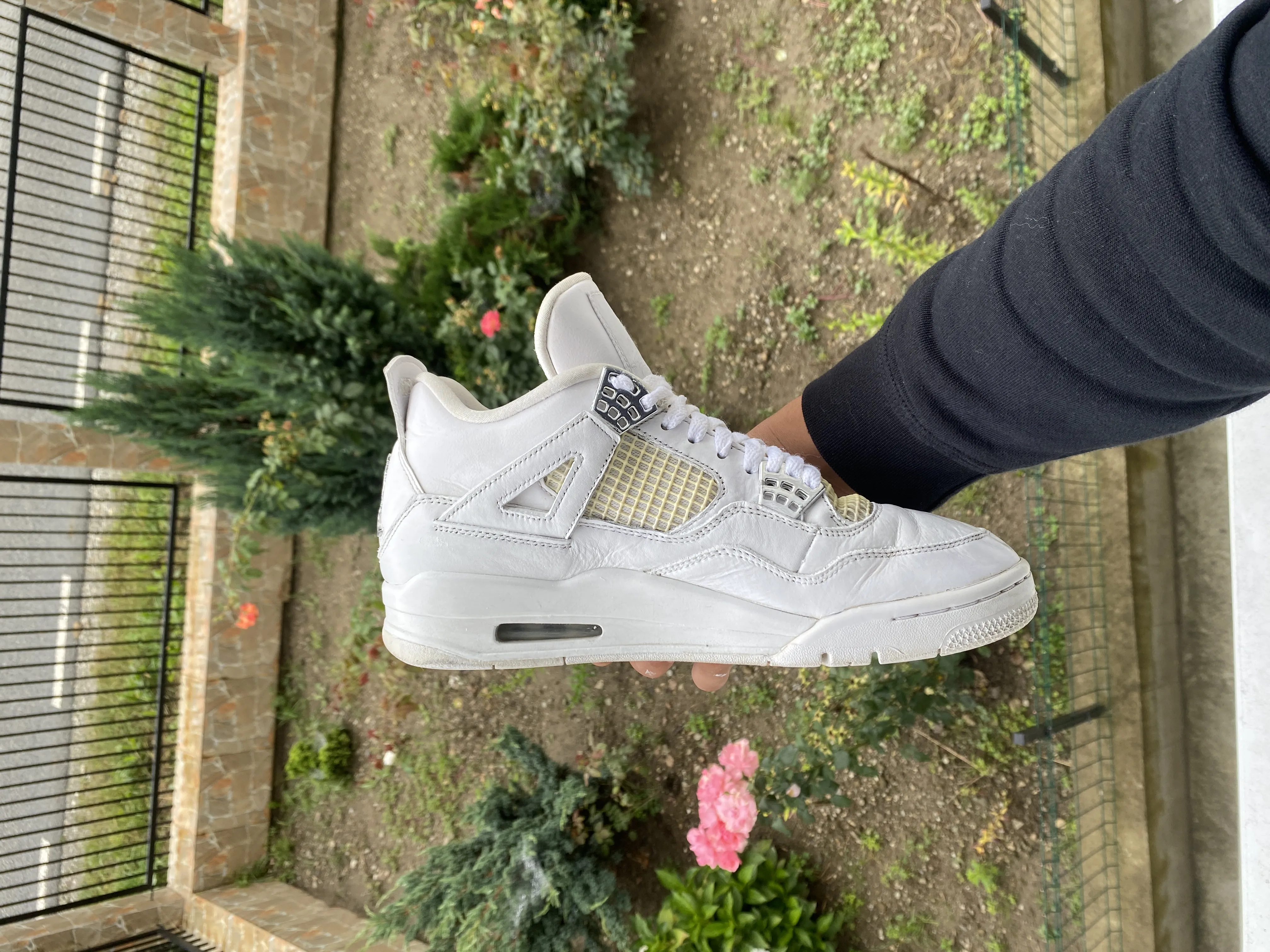 Jordan 4 Pure Money: Legit Or Fake? Find Out Now!